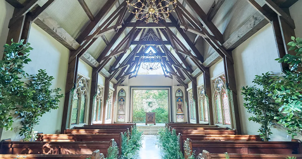 MAXIMANIS(マキシマニス)