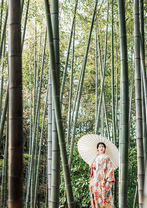 MAXIMANIS(マキシマニス)